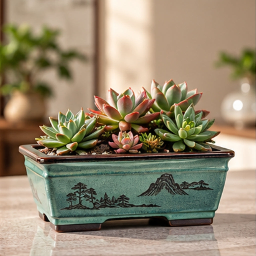 NestFix™ Bonsai Planter Pot – Decorative Ceramic Pot for Home & Desk